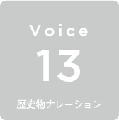 Voice13