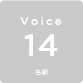 Voice14